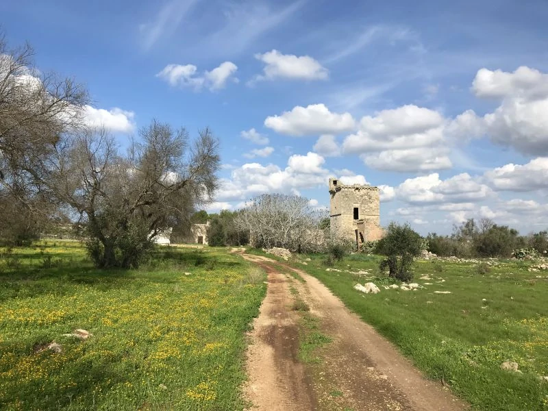 Masserias (walled farming estates) of historical and architectural interest dot the countryside of the Salento region of Puglia