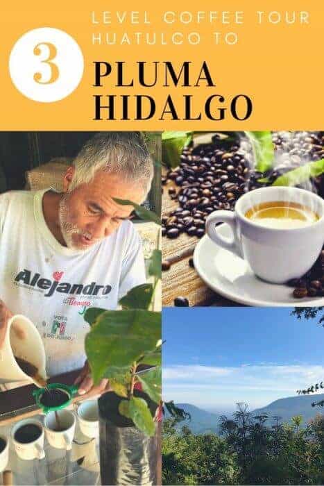 Taste the world's best coffee on the 3 Level Tour from Huatulco to Pluma Hidalgo