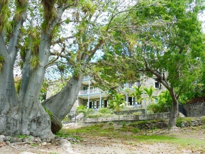 Trees in front of the historic Bath Hotel and Spring House in Nevis.