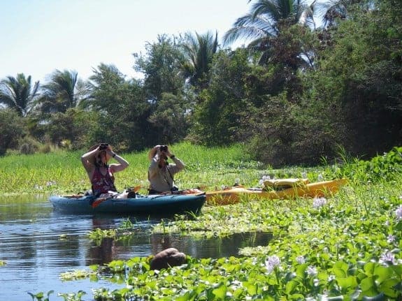 Two birdwatchers kayaking in Manialtepec Lagoon. (Credit: Hidden Voyages Eco-tours)