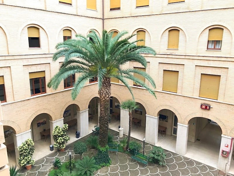 Palm tree in courtyard of Casa Maria Immacolata Convent Stay in Rome.
