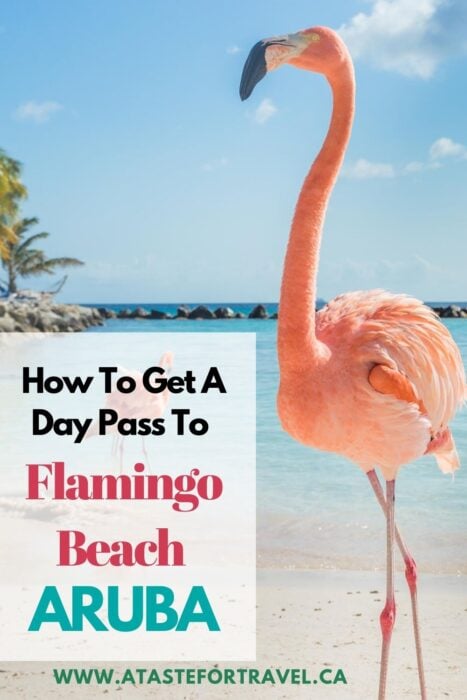 Flamingos on a beach with text overlay about Day Pass to Renaissance Island