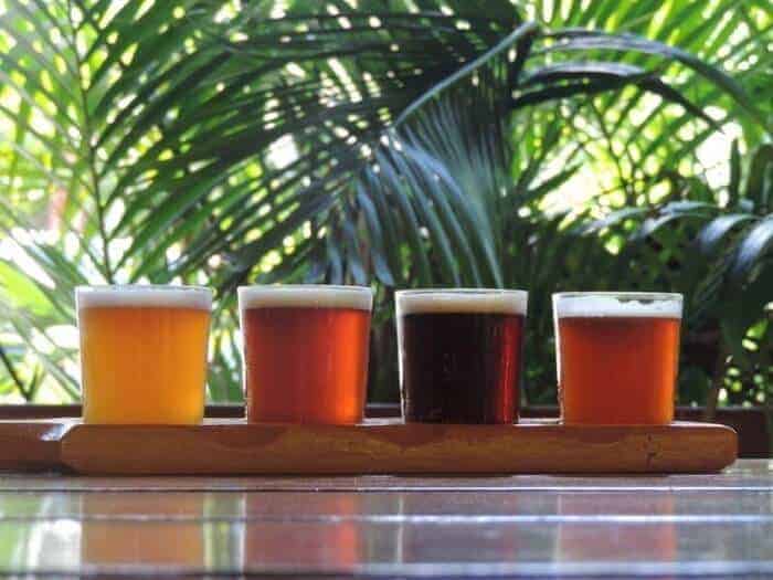 Flight of West Indies craft beer (Photo Credit- West Indies Beer Co.)