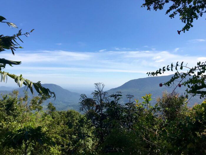 View of Sierra Madre Sur mountains enroute to Pluma Hidalgo, Mexico. 