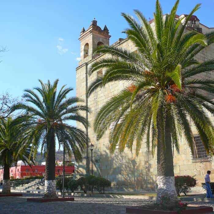 Street scene with church and palm trees in Oaxaca City, Mexico. 