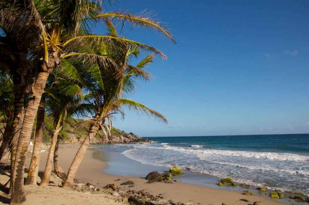 Petit Anse Beach in the morning