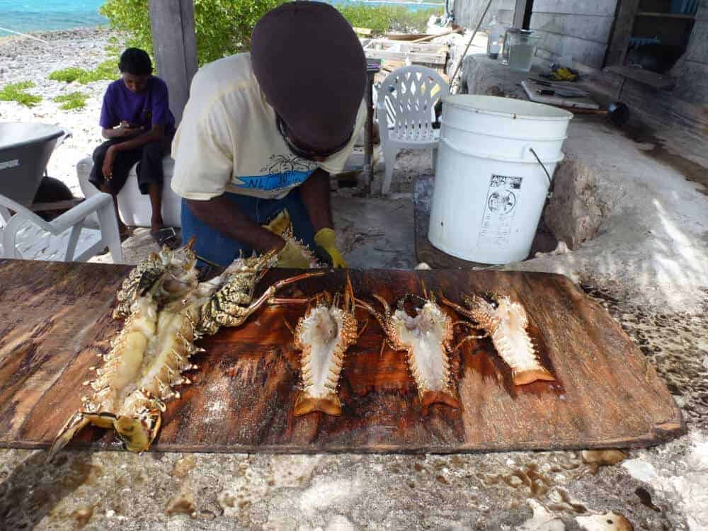 Man preparing lunch of grilled lobster at Scilly Cay on Anguilla. 