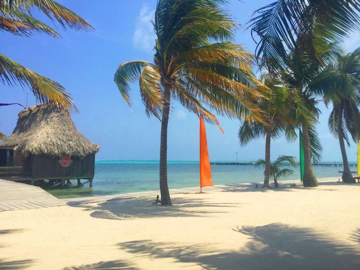 View of beach with palm trees in San Pedro Belize.