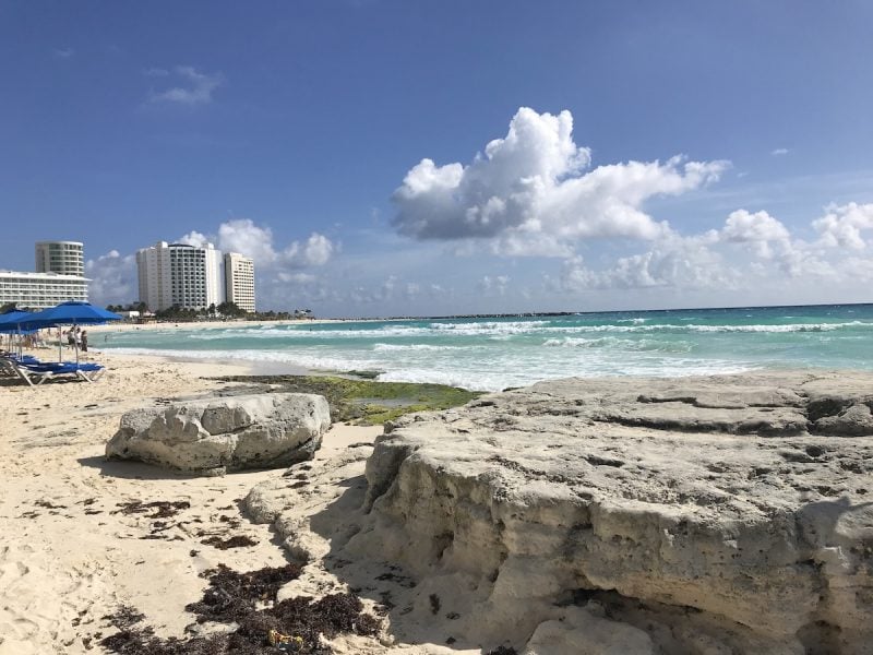 rocks and seaweed on the beach in Cancun Mexico 