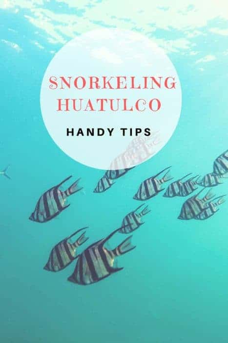 A visit to Huatulco Mexico isn't complete unless you go snorkeling in the clear, blue waters.