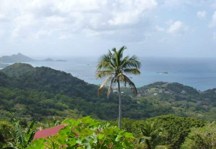 Lush vegetation overlooking ocean in Carriacou.