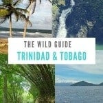 Explore authentic cuisine, pristine natural beauty and still-wild beaches in the dual nation of Trinidad and Tobago