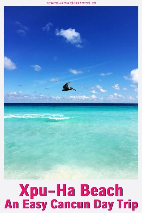 Pelican flying over turquoise water with text overlay of XPU-HA Beach