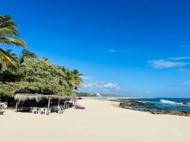 Playa Agua Blanca beach and seafood restaurants.