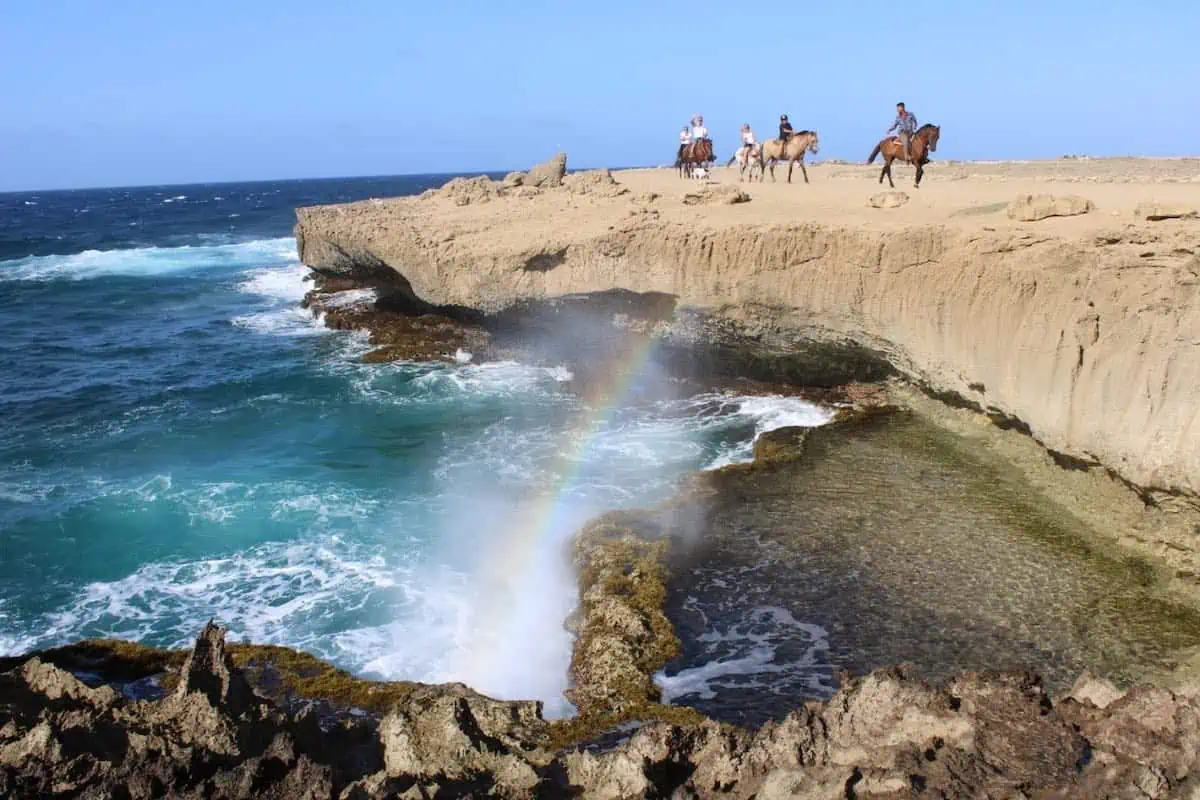 People horseback riding beside the water in Aruba. 