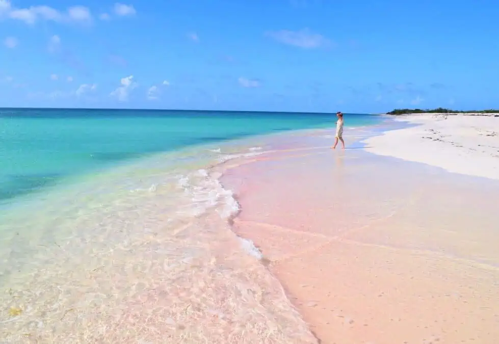 Woman walking on pink sand at Cedar Point on Barbuda.