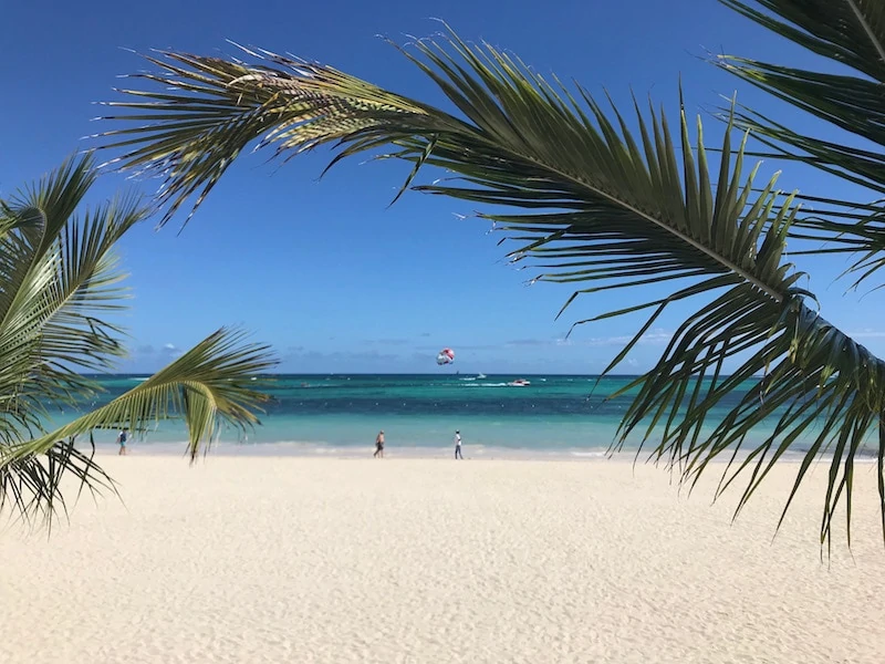 Famous white sands of Bavaro Beach framed by palm fronds. 