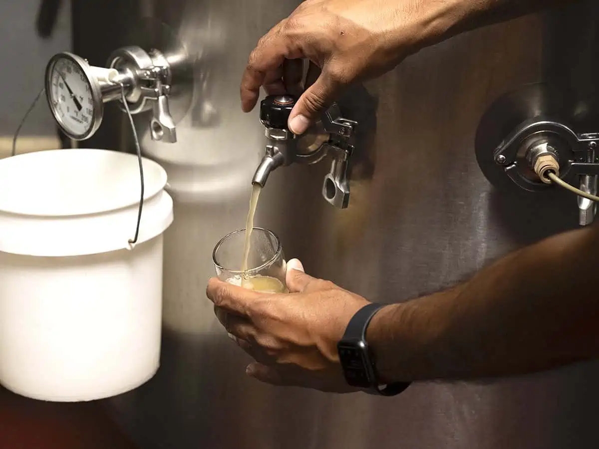 A man pouring beer from a tap in St. John, USVI.