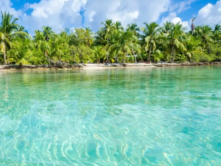 View of an island in Belize from the water.