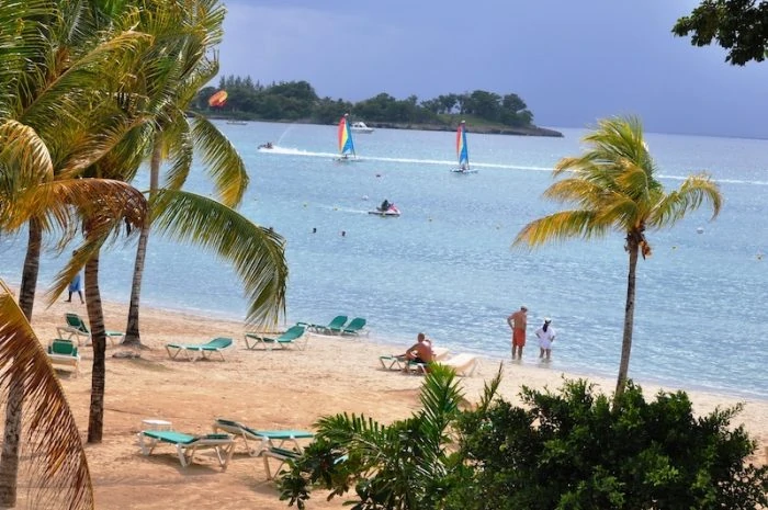 View of palm trees and lounge chairs at Bloody Bay beach in Negil.