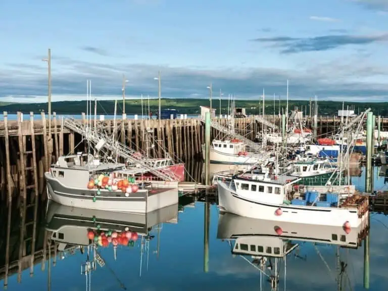 Fishing boats in Digby, Nova Scotia.