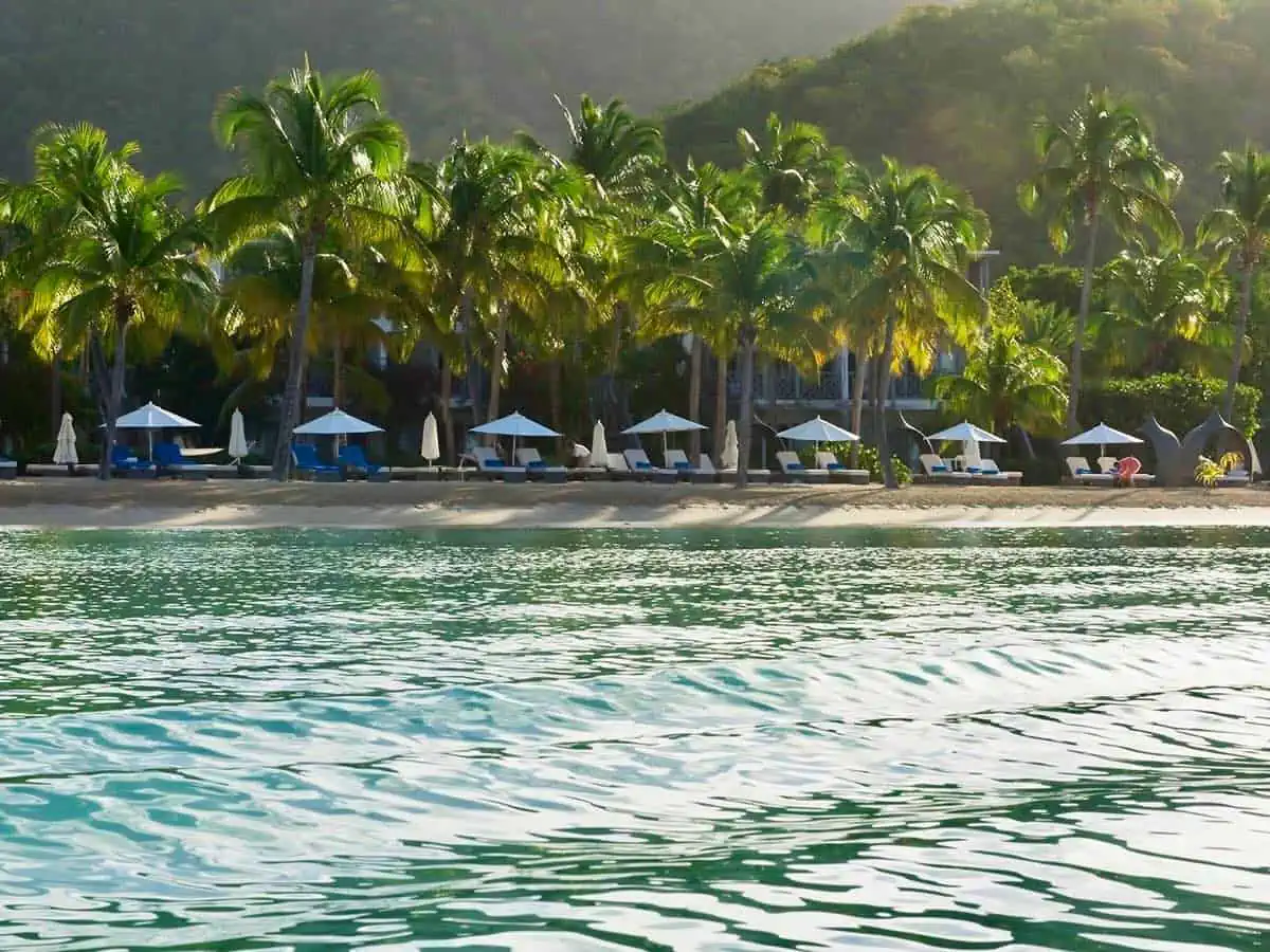 View of beach with lounge chairs and palm trees.