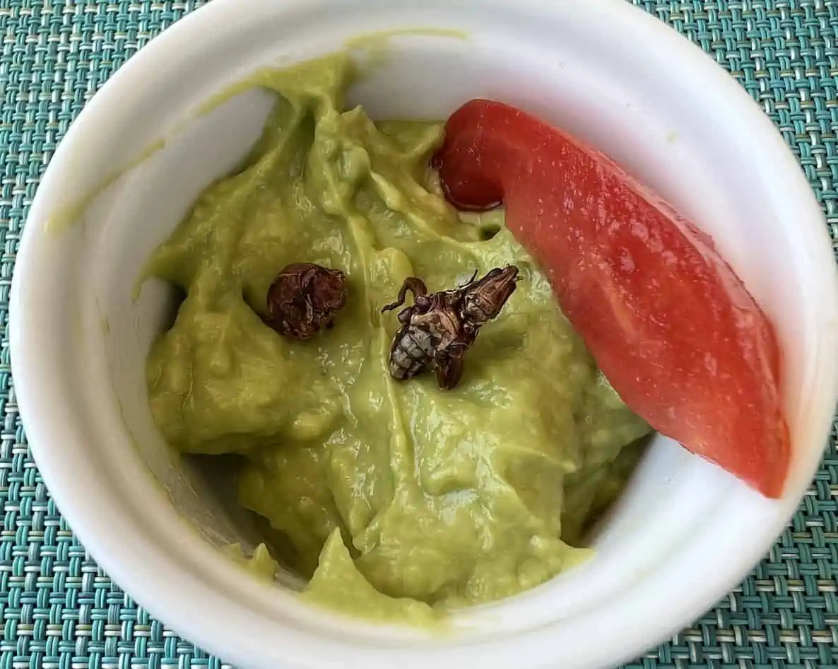 Chapulines (toasted grasshoppers) in a bowl of guacamole. in