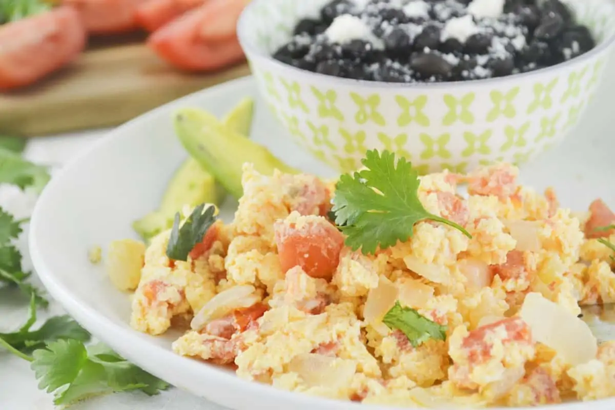 Close-up of scrambled eggs with tomato and onion on a white plate.