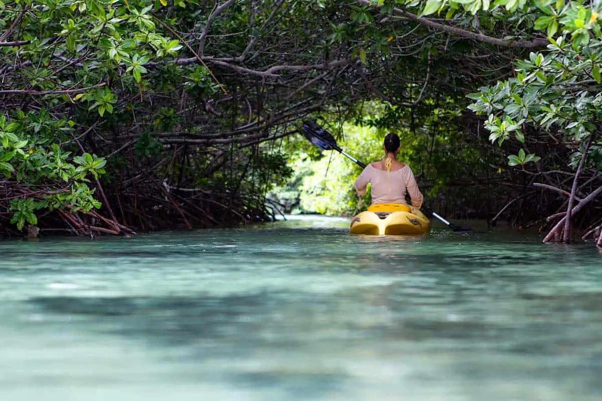Woman kayaking in mangroves on Bonaire. 