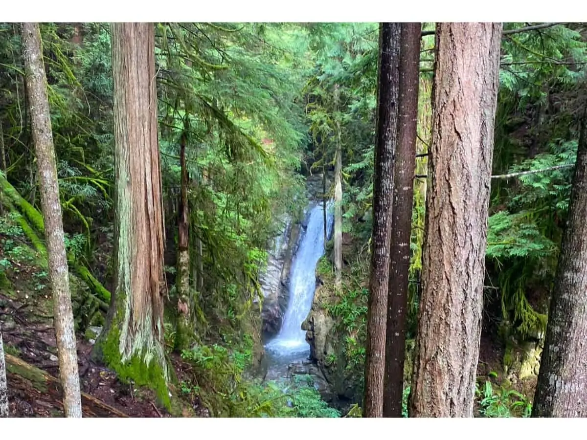 A view of Cypress falls through trees with a waterfall in the background.