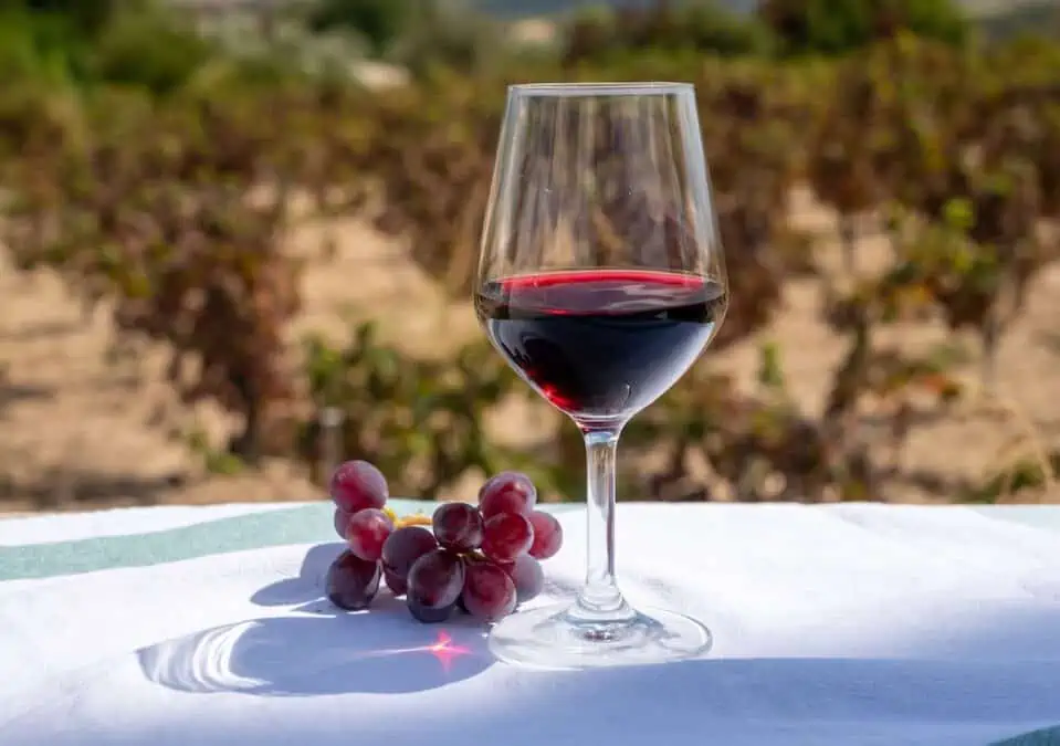 A glass of wine in a vineyard in Cyprus. a