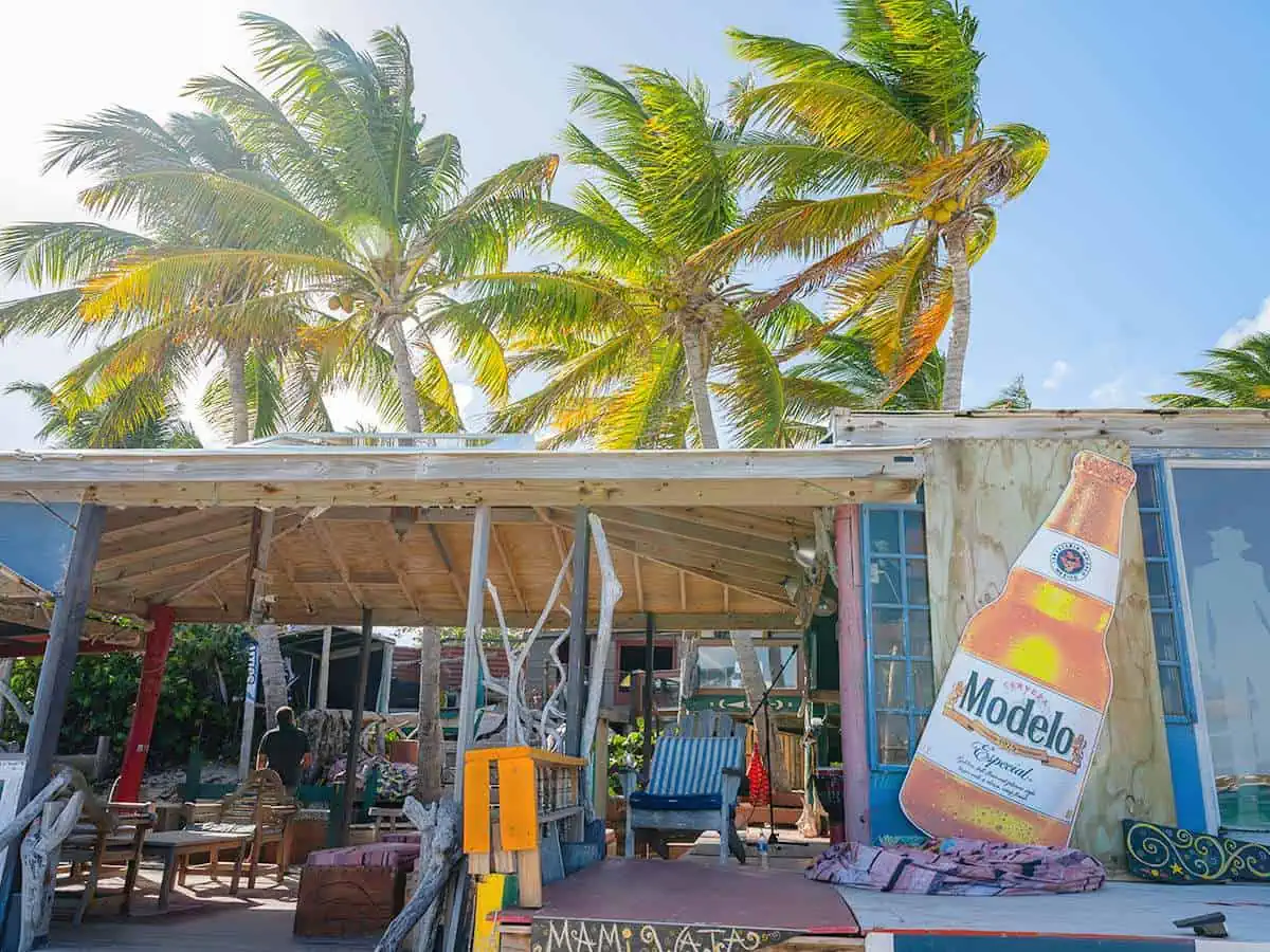 Beach shack with palm trees.