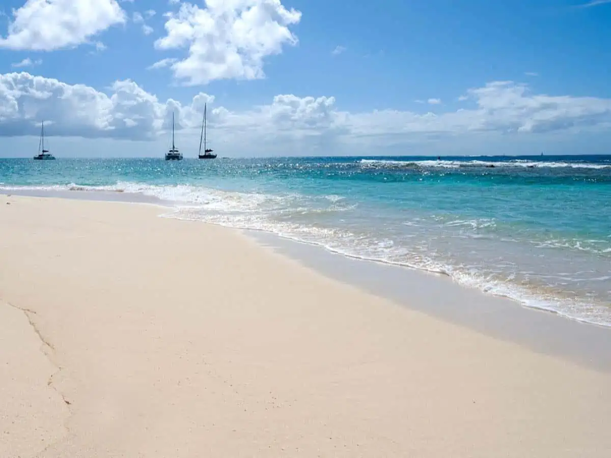 Beach and ocean with sailboats. 