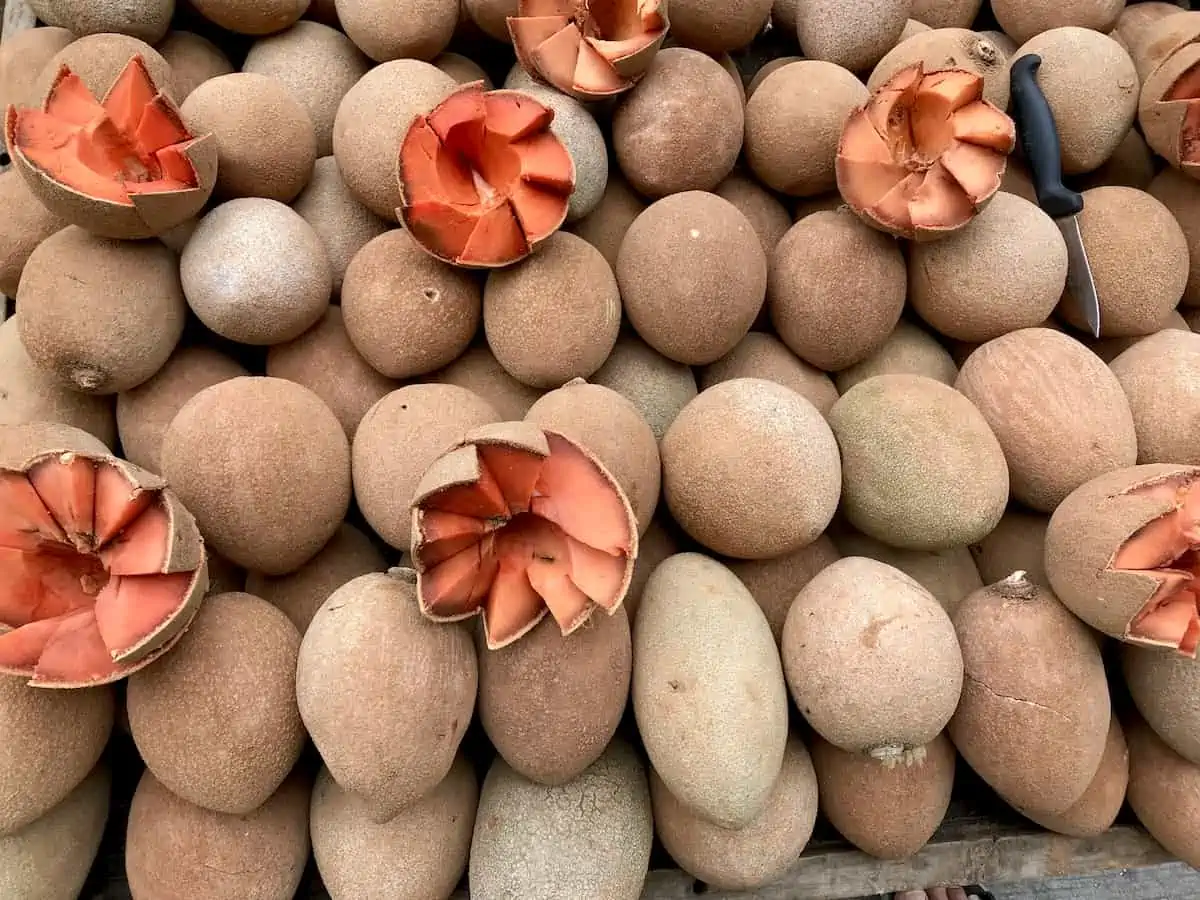 A display of mamey sapote fruit in Puerto Escondido market.