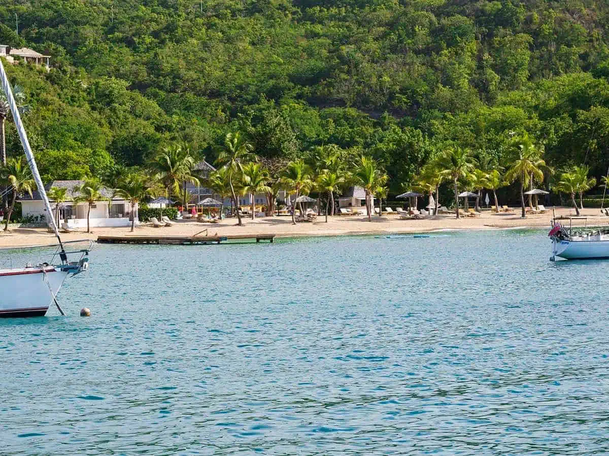 View of shore from boat.