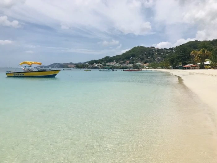 Grand Anse Caribbean Beach with no seaweed 