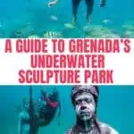 A collage of snorkelers at the Grenada Underwater Sculpture Park.