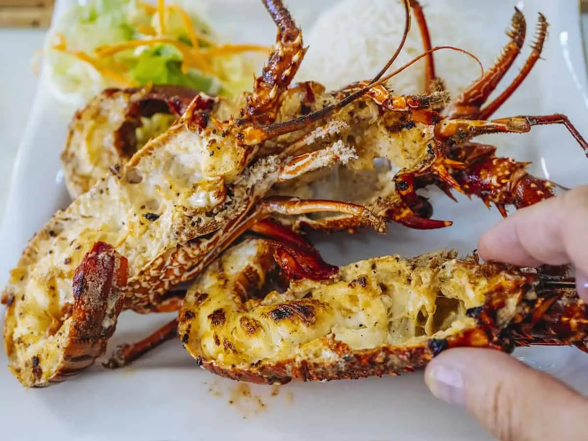 Closeup of freshly grilled lobster tails served with vegetables.