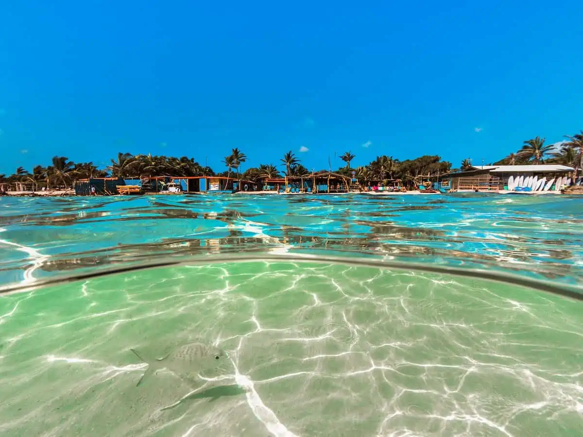 Blue water and Hang Our Beach Bar. b