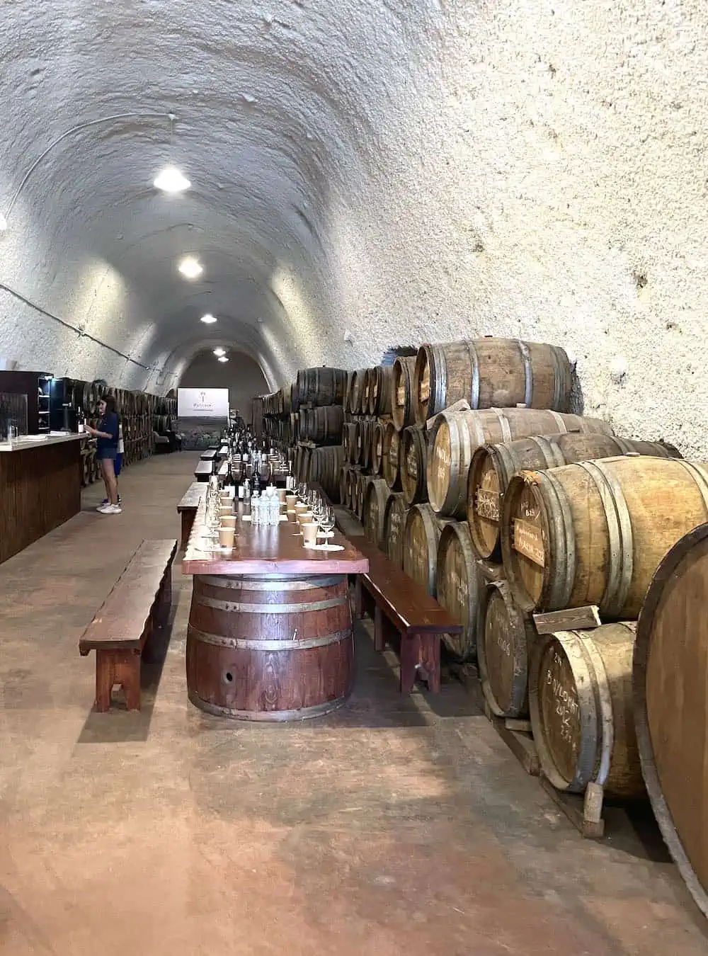 A wine tasting at Hatzidakis Winery. 