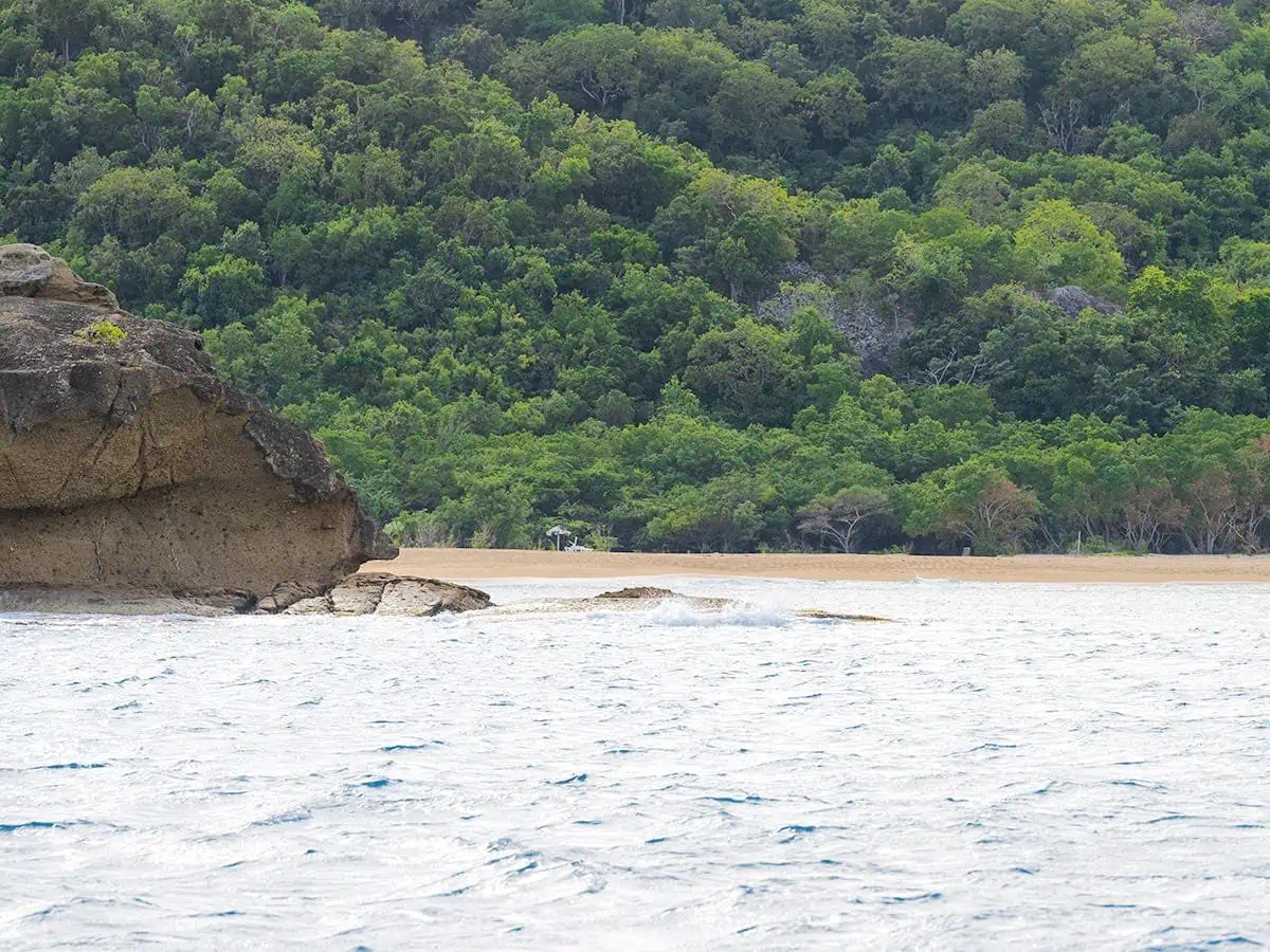 Hawksbill Beach from the water. 