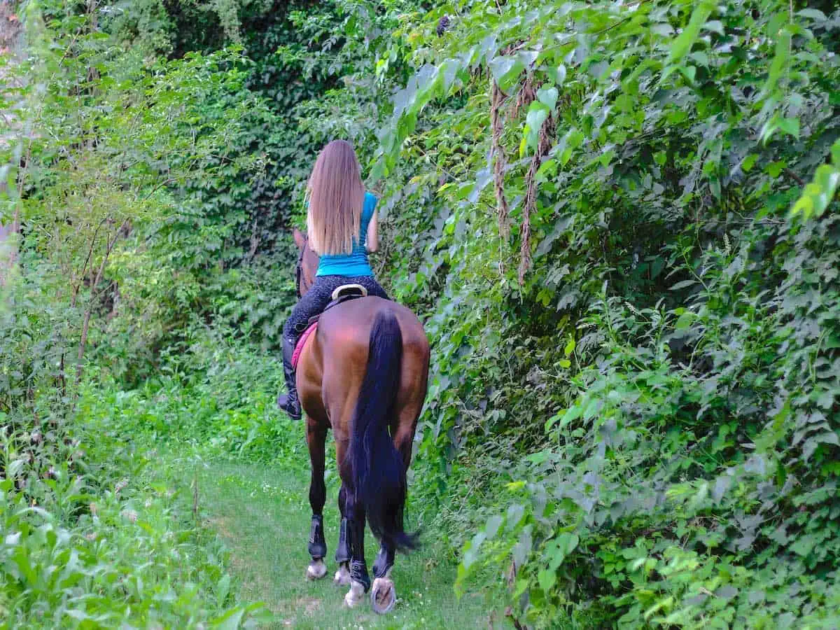 Woman horseback riding in the jungle. 