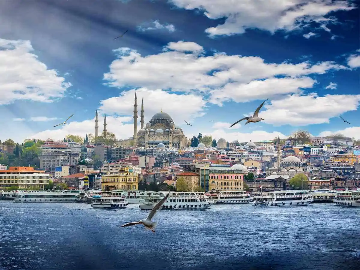 Skyline of Istanbul with clouds and seagulls.