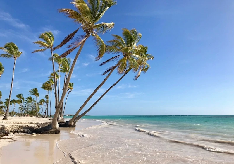 Palm trees of Juanillo Beach at Cap Cana in Punta Cana Dominican Republic. 