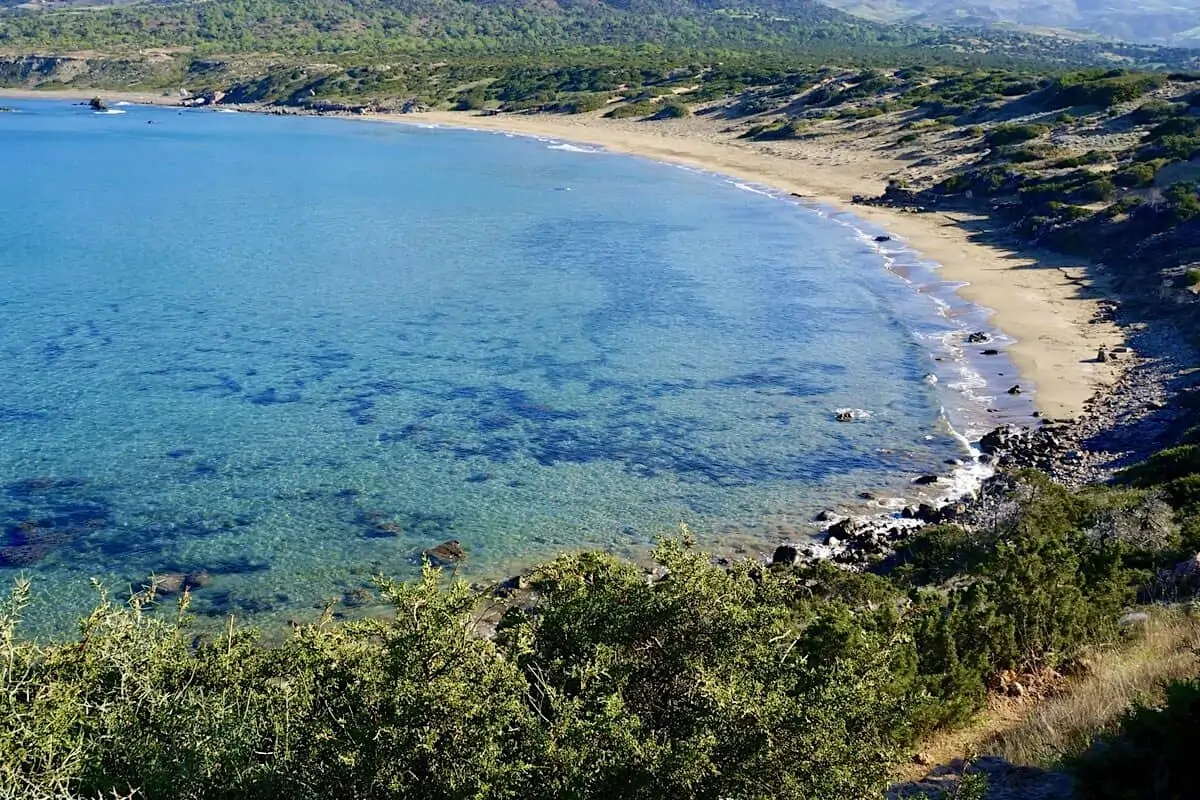 A sweeping view of Lara Beach in Paphos. a
