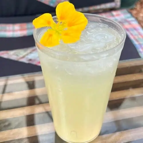 A close-up of a limonada with a flower garnish.