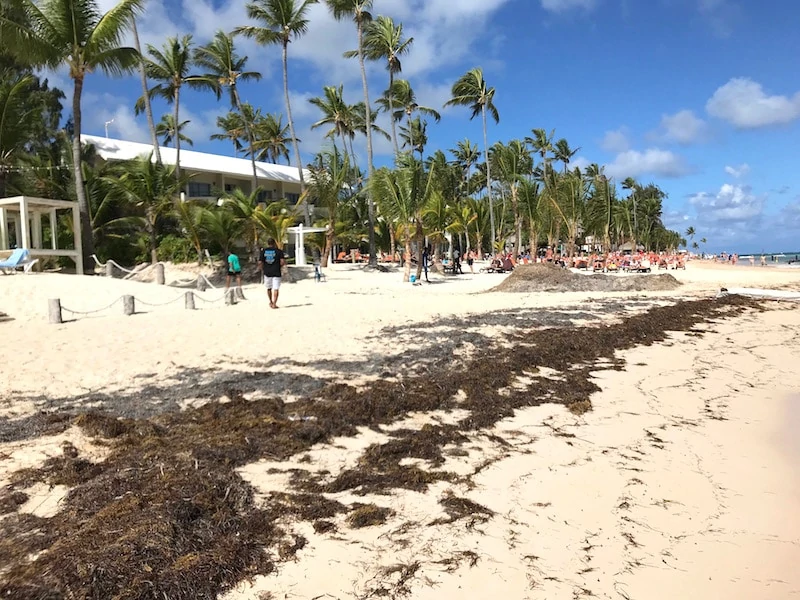 Lio Beach Punta Cana