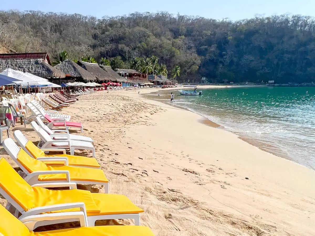 Yellow lounge chairs on Maguey Beach.