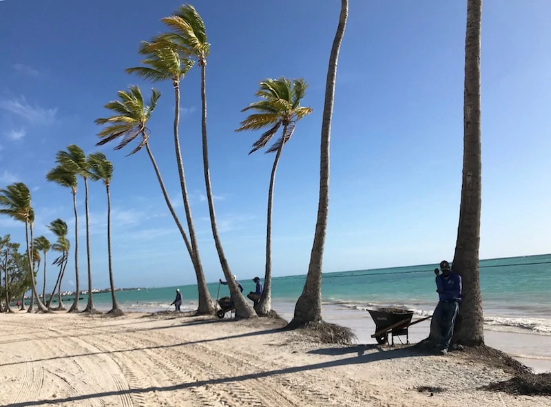 Using rakes to manually remove seaweed in the Dominican Republic