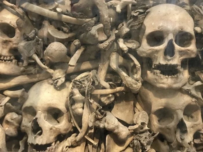 Bones of men, women and children in the ossuary chapel of Otranto